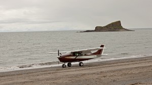 plane we flew back in copy